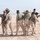 Iraqi soldiers train to reclaim lost territory