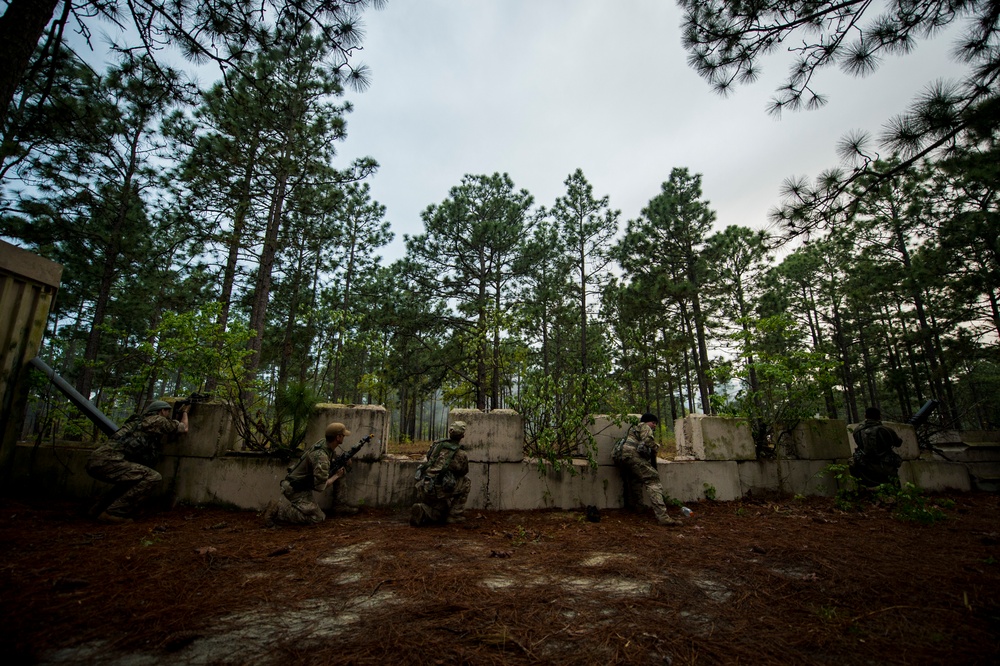 Combined Joint Operational Access Exercise 15-01