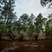 Combined Joint Operational Access Exercise 15-01