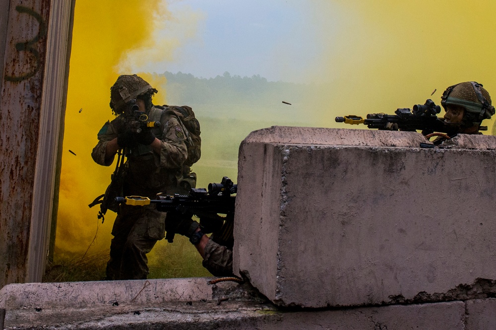 Combined Joint Operational Access Exercise 15-01