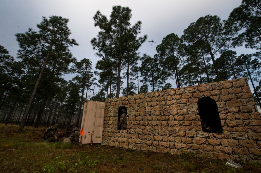 Combined Joint Operational Access Exercise 15-01
