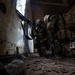 Combined Joint Operational Access Exercise 15-01