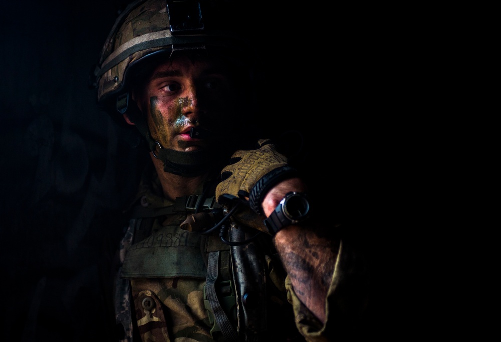 Combined Joint Operational Access Exercise 15-01