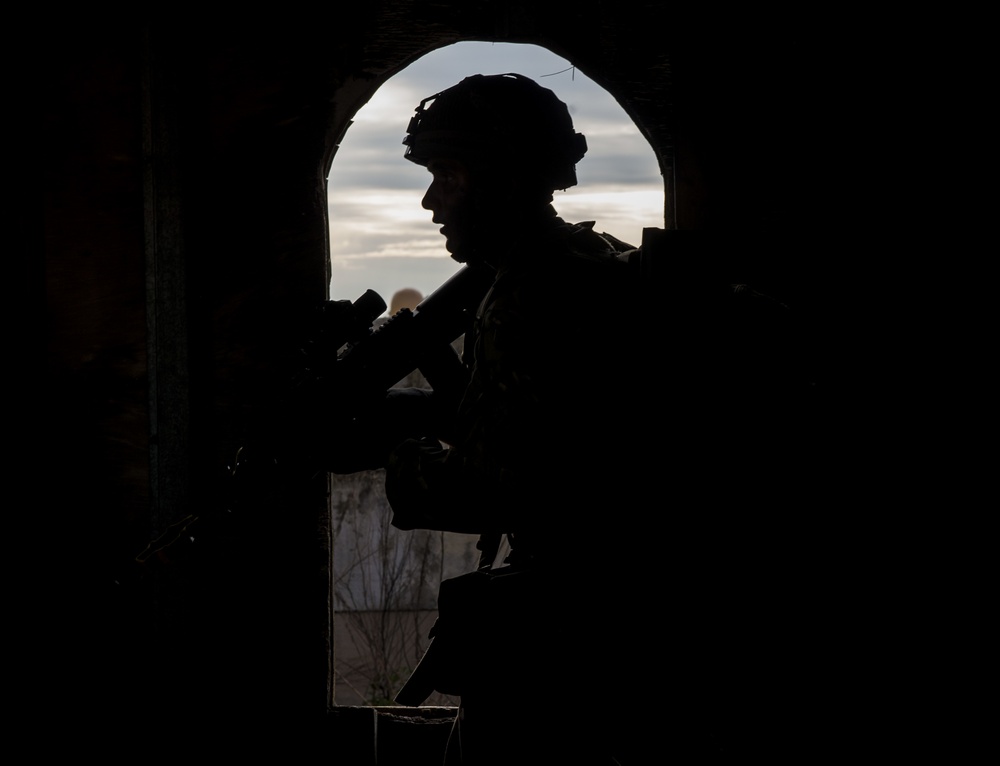 Combined Joint Operational Access Exercise 15-01