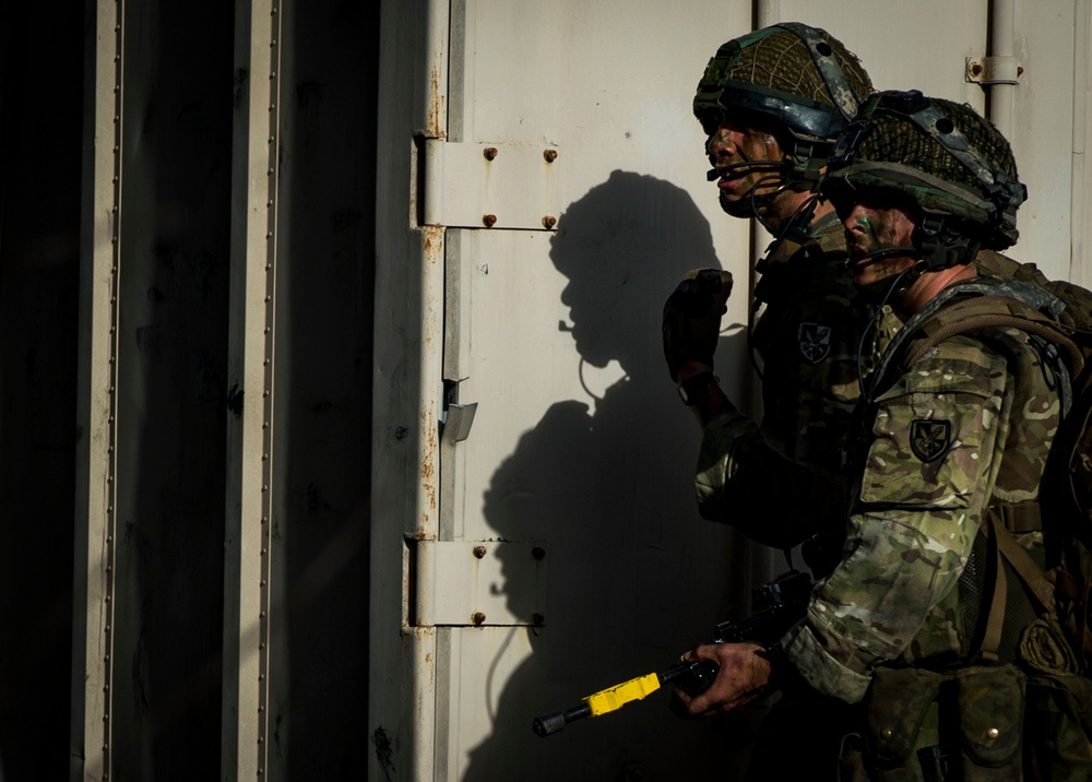 Combined Joint Operational Access Exercise 15-01