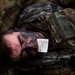 Combined Joint Operational Access Exercise 15-01