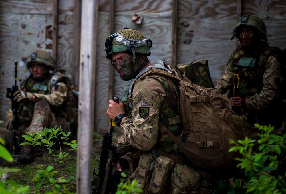Combined Joint Operational Access Exercise 15-01
