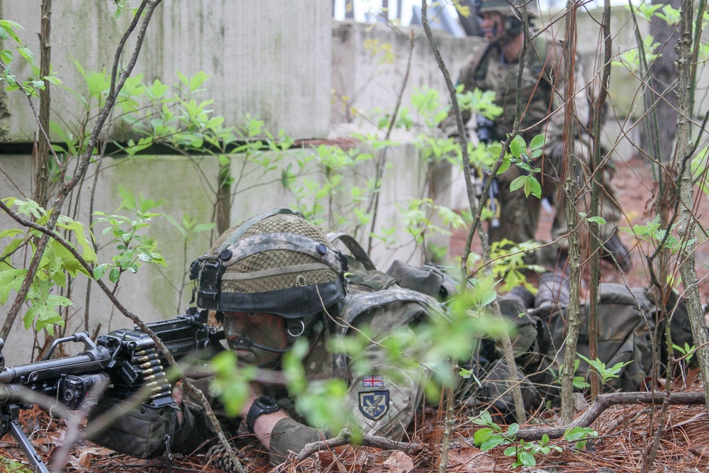 Bilateral exercise culminates with interoperability assault