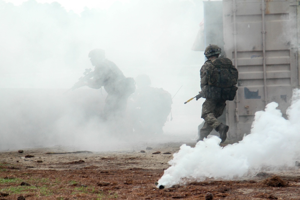 Bilateral exercise culminates with interoperability assault