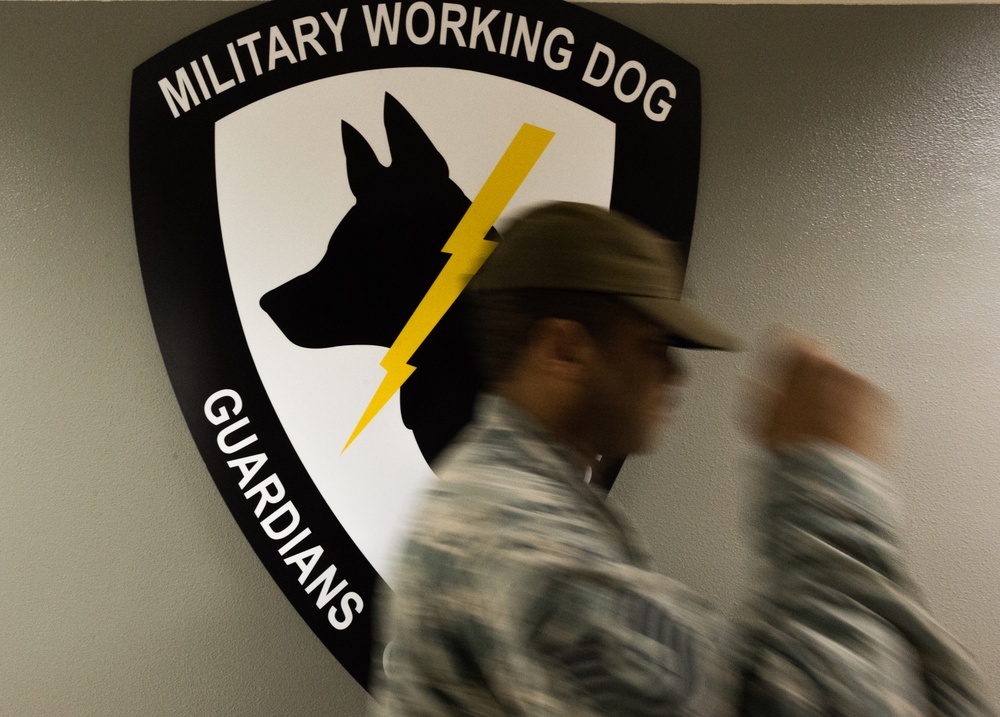 Armed Forces Day 2015