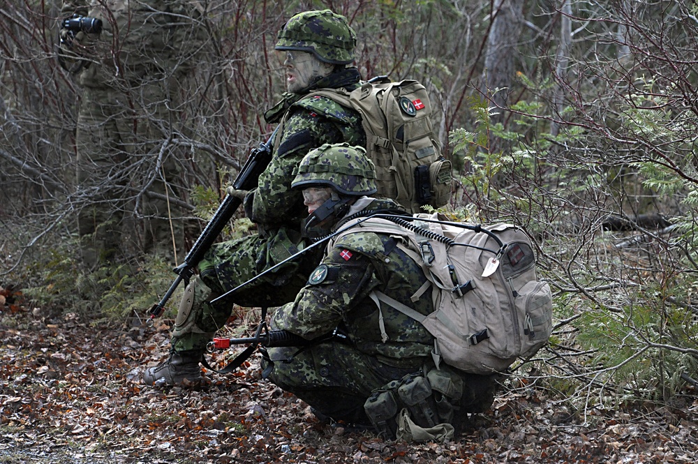 Danish army trains with Michigan National Guard