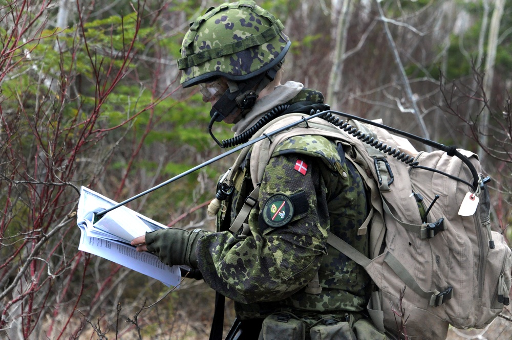 Danish army trains with Michigan National Guard