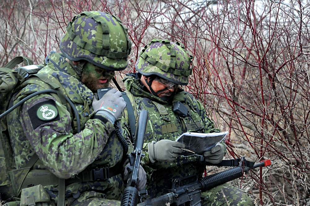 Danish army trains with Michigan National Guard