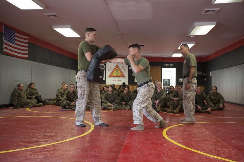 MCJROTC Cadets Receive MCMAP instruction