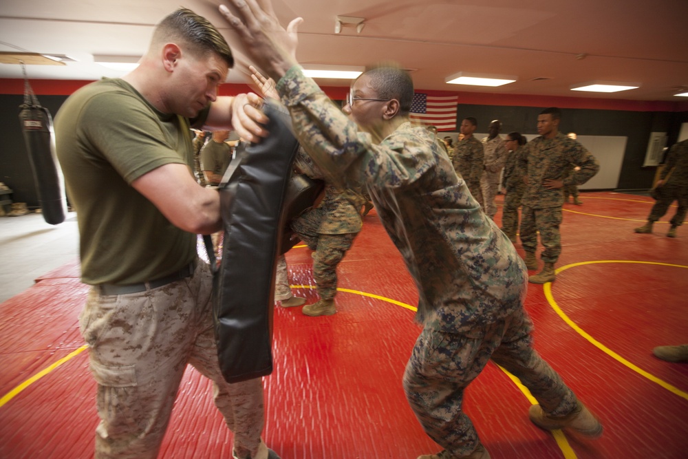 MCJROTC Cadets Receive MCMAP instruction