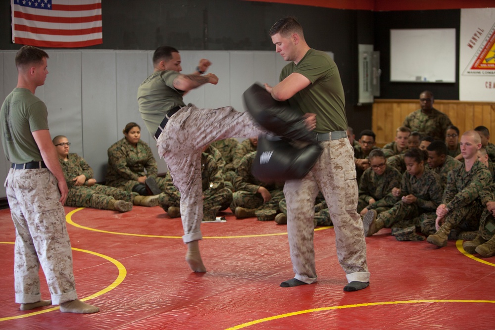 MCJROTC Cadets Receive MCMAP instruction