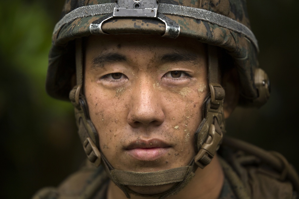 Faces from the Okinawa jungle
