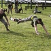 10th Marine Regiment competes in battalion physical training challenge