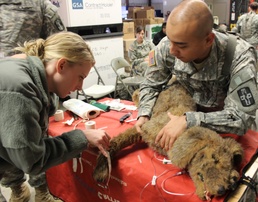 Some patients have four legs