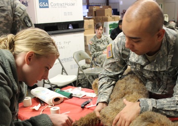 Some patients have four legs