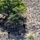 Mississippi Guardsmen provide border support Mississippi Guardsmen provide border support