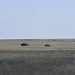 2/2 and Romanian Land Forces train together during Exercise Wind Spring