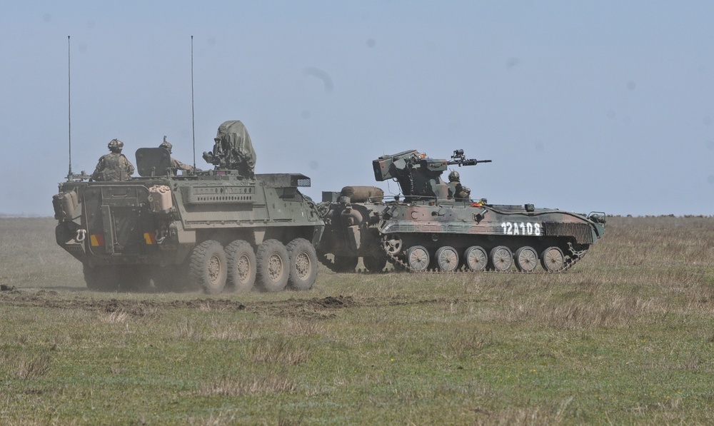 2/2 and Romanian Land Forces train together during Exercise Wind Spring