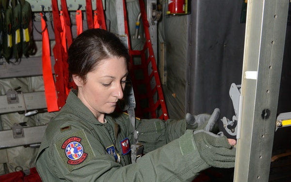 Stretcher carrier assembly