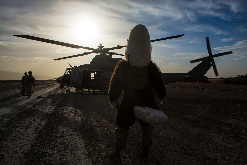 Marines test weapons knowledge, skills in the Arizona desert