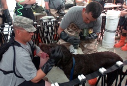 Minuteman Brigade, inter-agency training at Disaster City