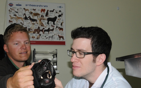 Fixing a K-9’s Canine; Medevac delivers military working dog to helping hands