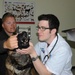 Fixing a K-9’s Canine; Medevac delivers military working dog to helping hands
