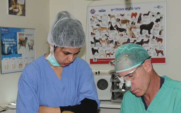 Fixing a K-9’s Canine; Medevac delivers military working dog to helping hands