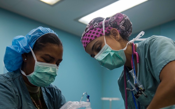 Continuing Promise 2015