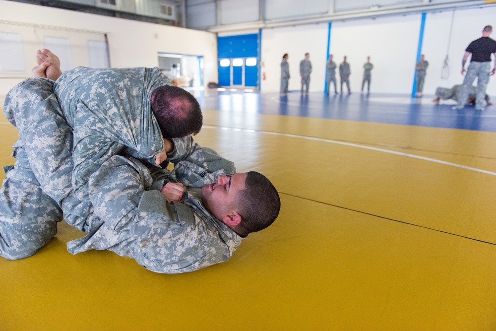 Basic Combatives Level I