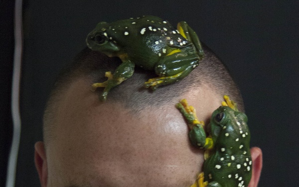 Marines learn life as a ‘Territorian’