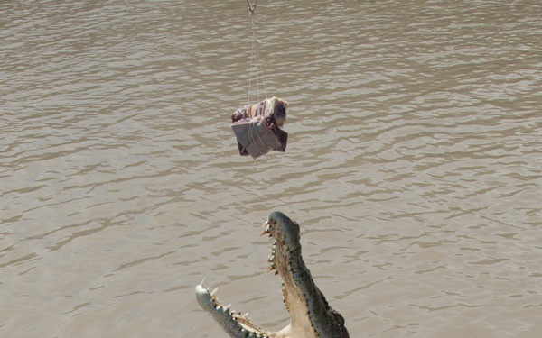 Marines learn life as a ‘Territorian’