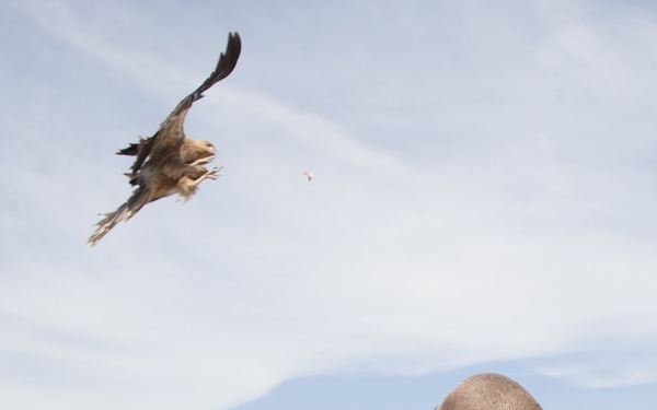Marines learn life as a ‘Territorian’