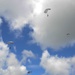 EODMU 5 conducts freefall parachute training