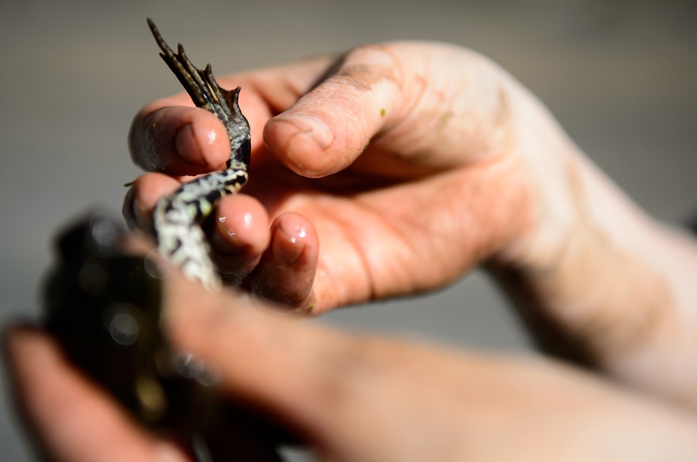 86 CES operates amphibious environmental conservation