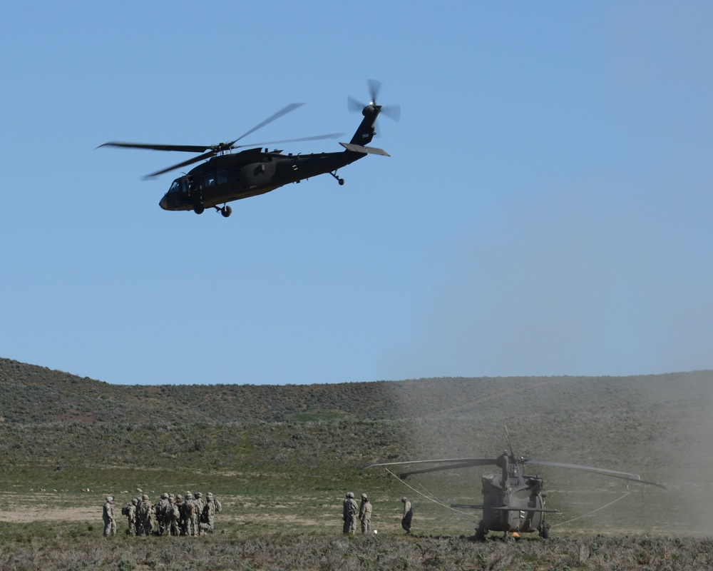 16th Combat Aviation Brigade UH-60 Black Hawk at YTC