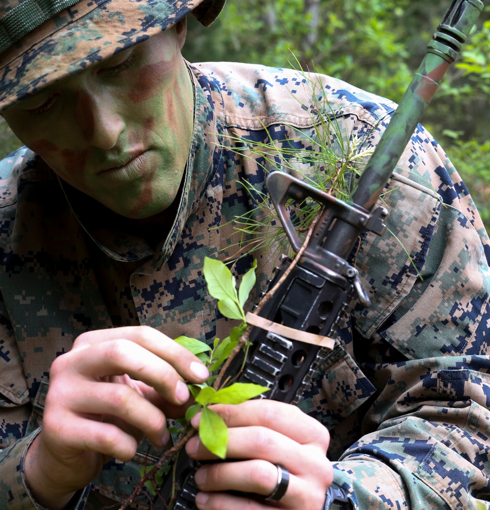 Marines train to become scout snipers