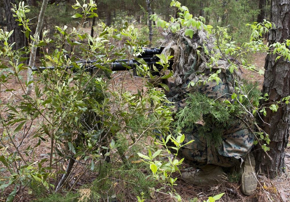 Marines train to become scout snipers