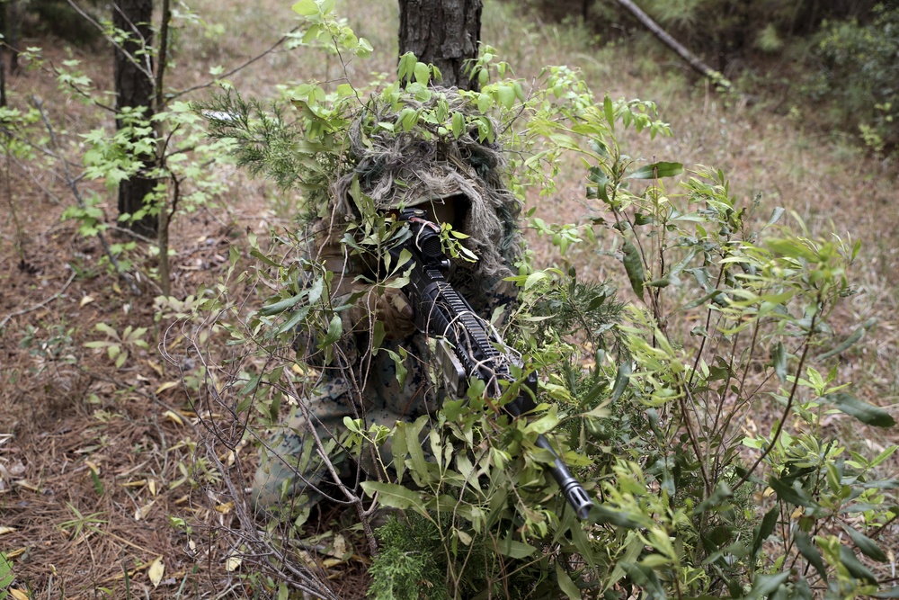 Marines train to become scout snipers