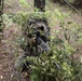 Marines train to become scout snipers