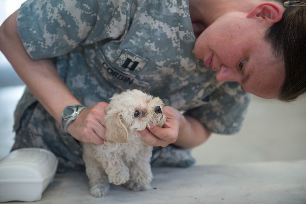 Continuing Promise 2015