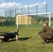 Ukrainian, US troops test their fitness at Fearless Guardian