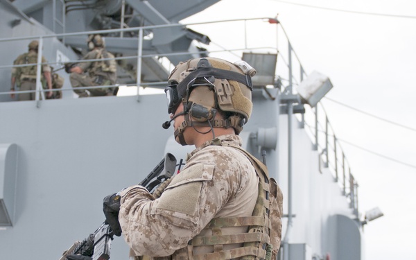 NSW VBSS