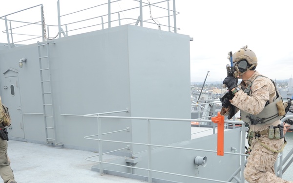 NSW VBSS