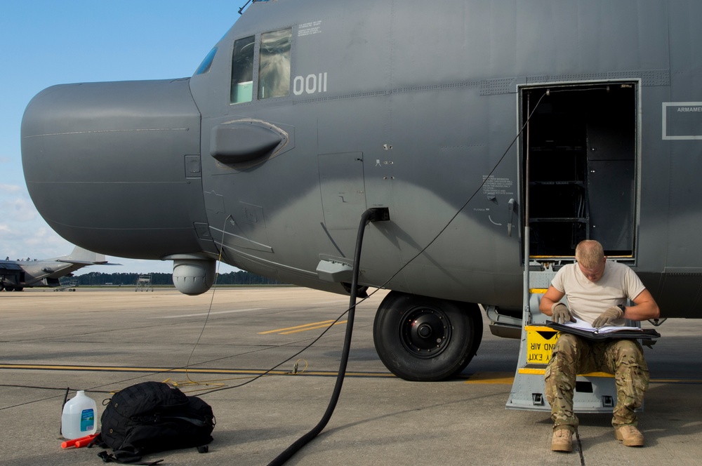 Emerald Warrior 2015